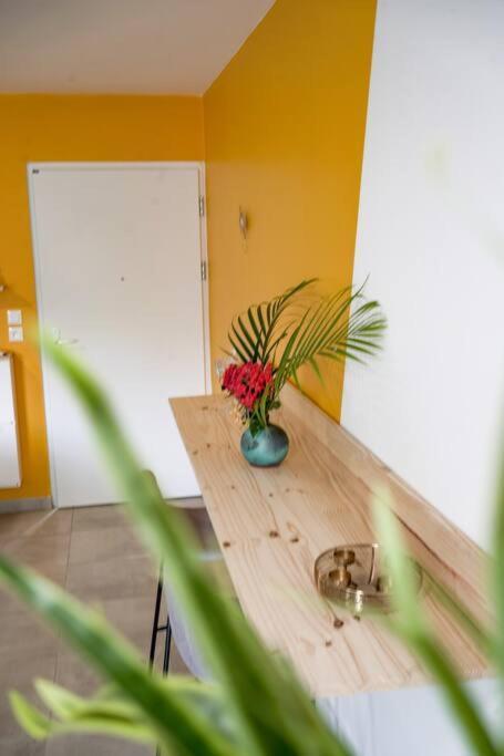 Le Marie-Agnes Appartement Neuf De Standing Fort-de-France Buitenkant foto